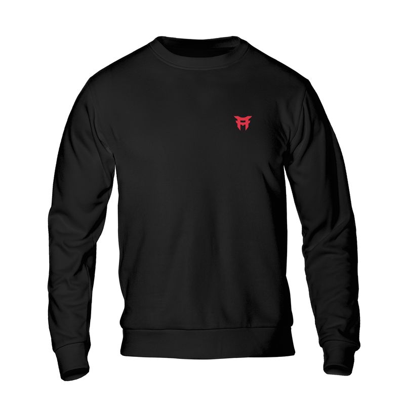 Sweatshirt (free shipping)