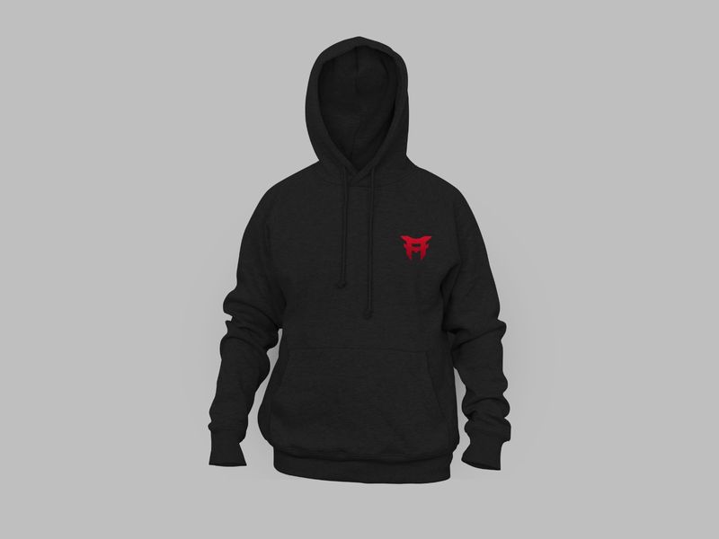 Hoodie (free shipping)